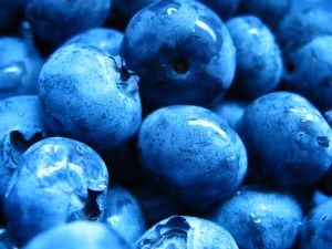 berries