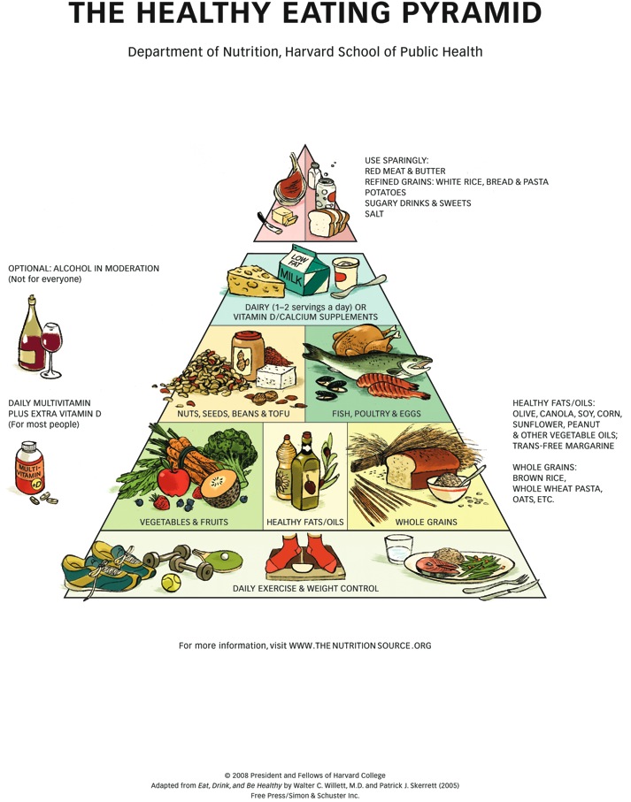 food phyramid
